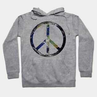 Planet Earth Day Peace Sign for Earth and Peace Lover Present Hoodie